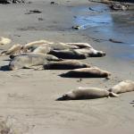 Cambria_2015_0155 (November 07, 2015)